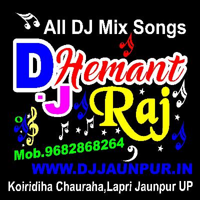 Raja Ras Loot Liyo Re Bhojpuri Remix Song